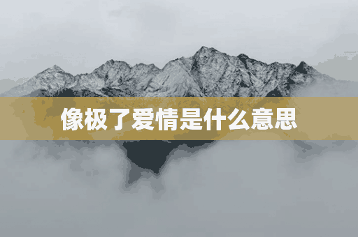 像极了爱情是什么意思